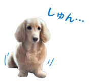 854868880