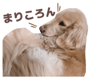 854868883