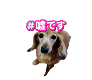 854869533