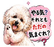 854870915