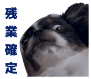 854870985