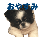 854870989