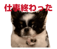 854870990