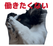 854870991