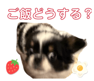 854870996