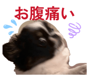 854870999