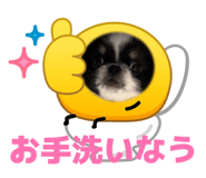 854871000