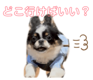 854871006