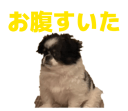 854871007