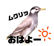 854872363