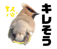 854872378
