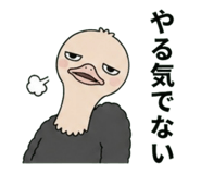 854873107