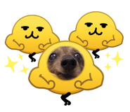 854873677