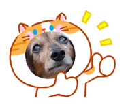 854873689