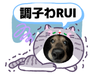 854873691