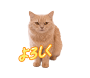 854873922