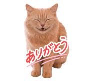 854873923