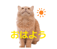854873934