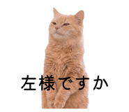 854873936