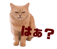 854873938