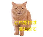 854873939