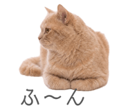 854873940