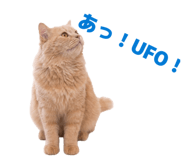 854873945