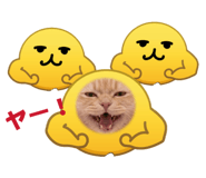 854873952