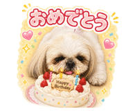 854874585