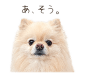 854874599