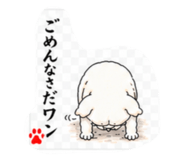 854874605