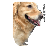 854874862