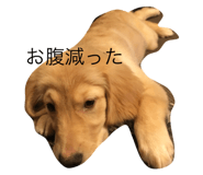 854874863
