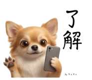 854875228