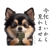 854875247