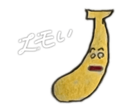 854876658