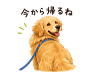 854878101