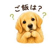 854878114