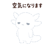 854879416