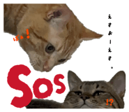 854879645