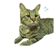 854879654