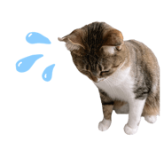 854879837