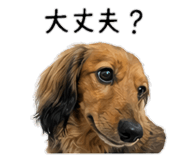854880012