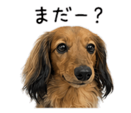 854880022