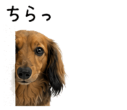 854880030