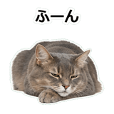 854882058