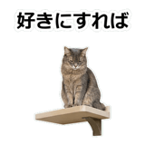 854882062