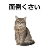 854882067