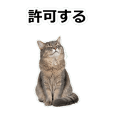 854882072
