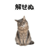 854882074
